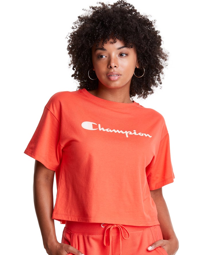 Champion Cropped Script Logo T-Shirt Dames - Oranje - Belgie 0169MHSUN